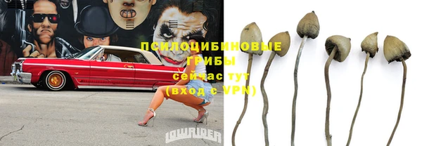 молекула духа Беломорск