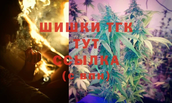 твердый Богданович