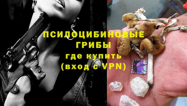 молекула духа Беломорск