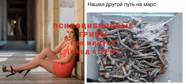 твердый Богданович