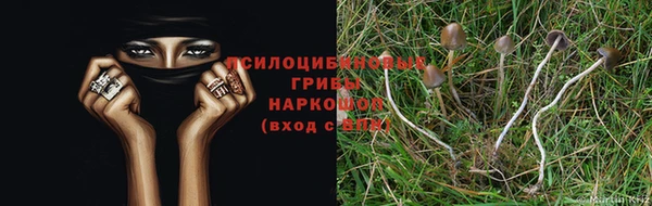ALPHA-PVP Богородицк